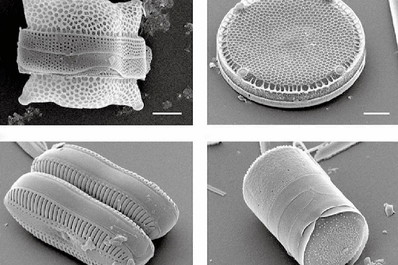 装修知识｜装修中的5个「谎言」 ，你中招了吗？